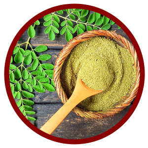 moringa benefits from India