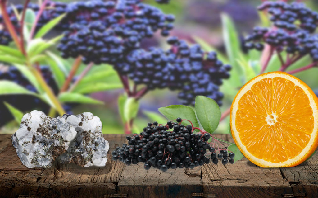 Elderberry Zinc and Vitamin C for immune wellness and immune support